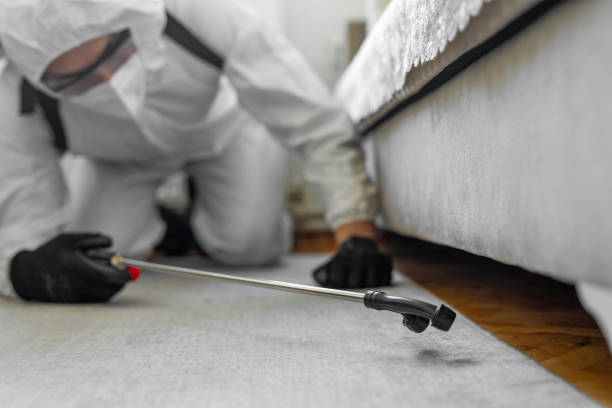 Professional Bed Bug Control technician working in Ladonia, AL