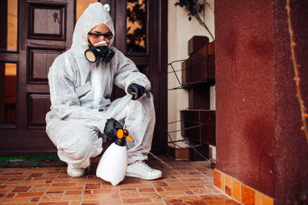 Reliable Bed Bug Control contractor in Ladonia, AL by Nex Pest Control